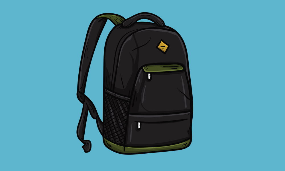 10 Best Backpack Brands in India 2021 (Reviews & Tips)